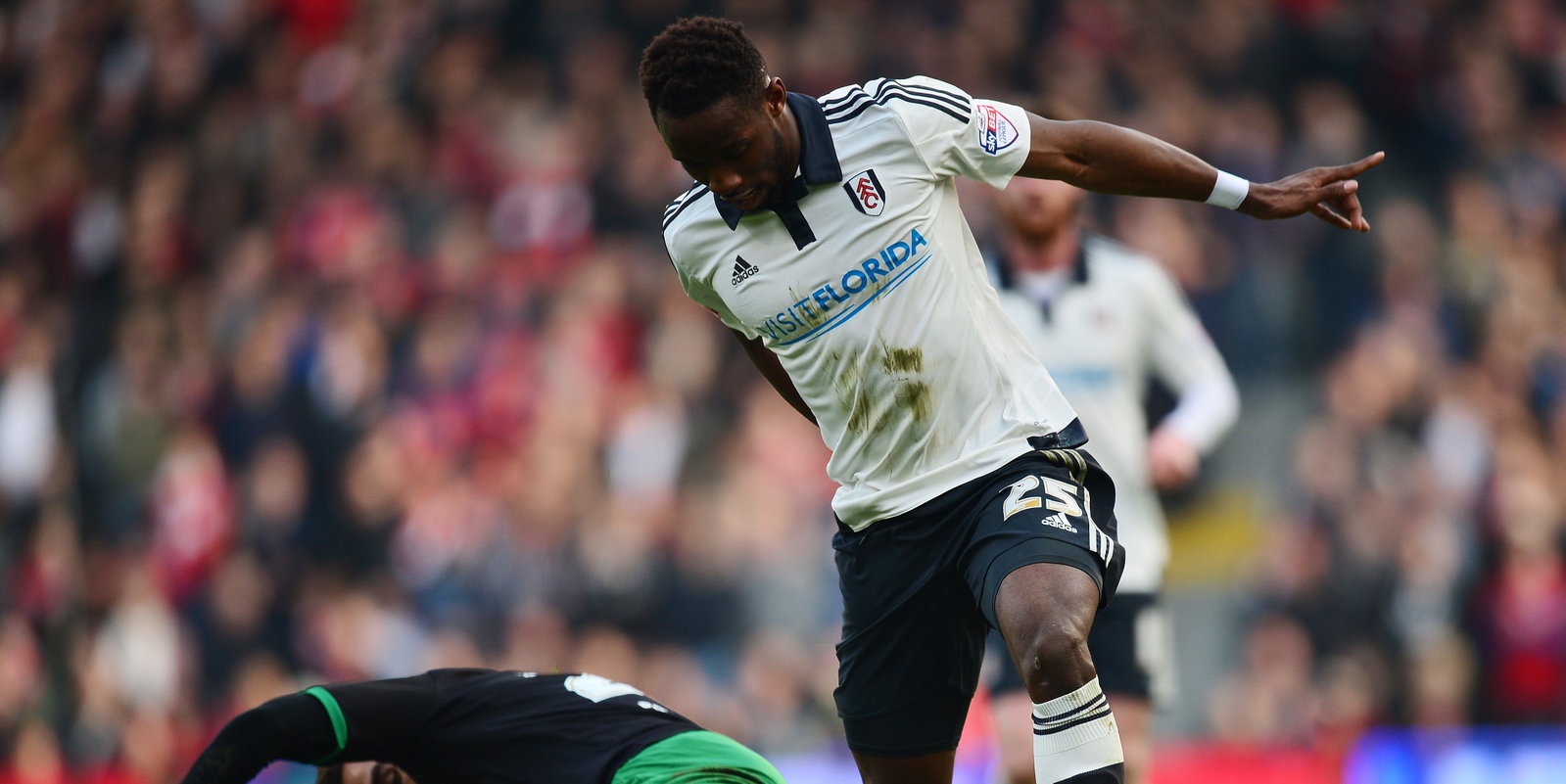 Fulham v Bristol City - Sky Bet Championship